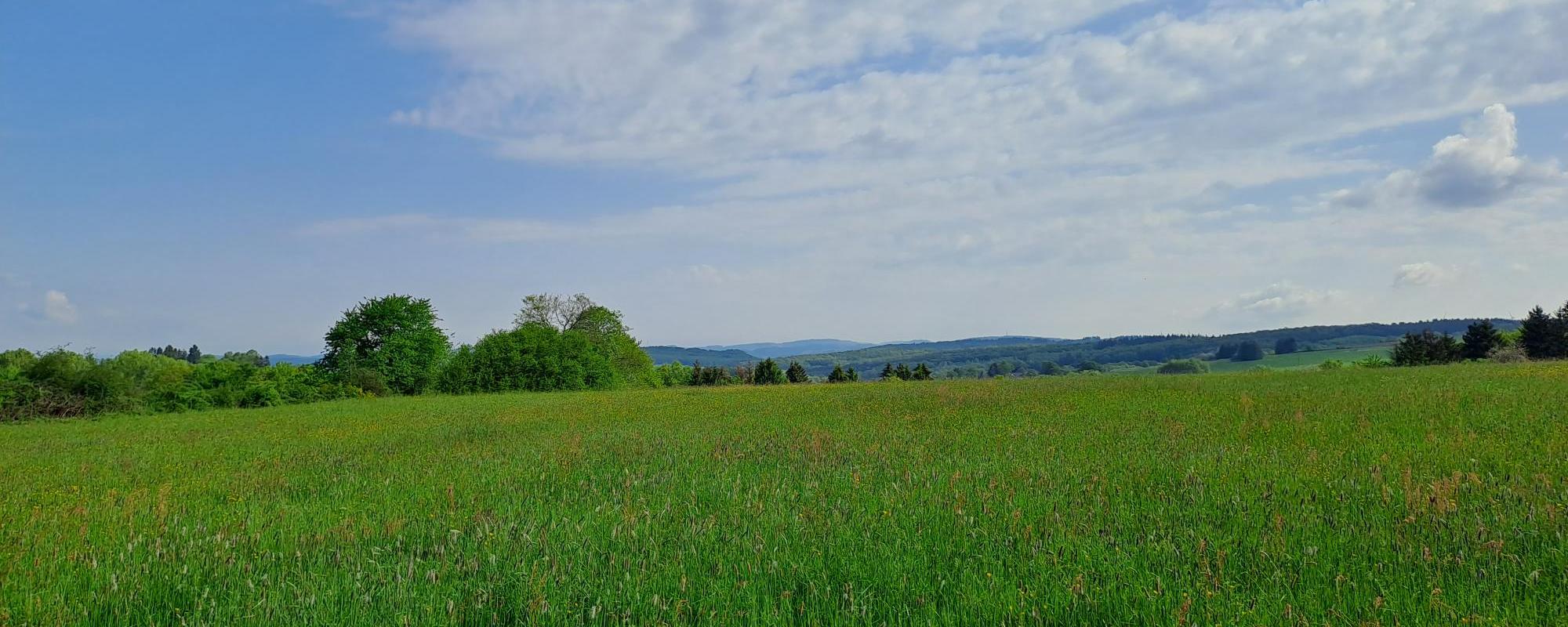 Man sieht einen Himmel mit Schleierwolken und eine grüne Wiese mit Hügeln im Hintergrund