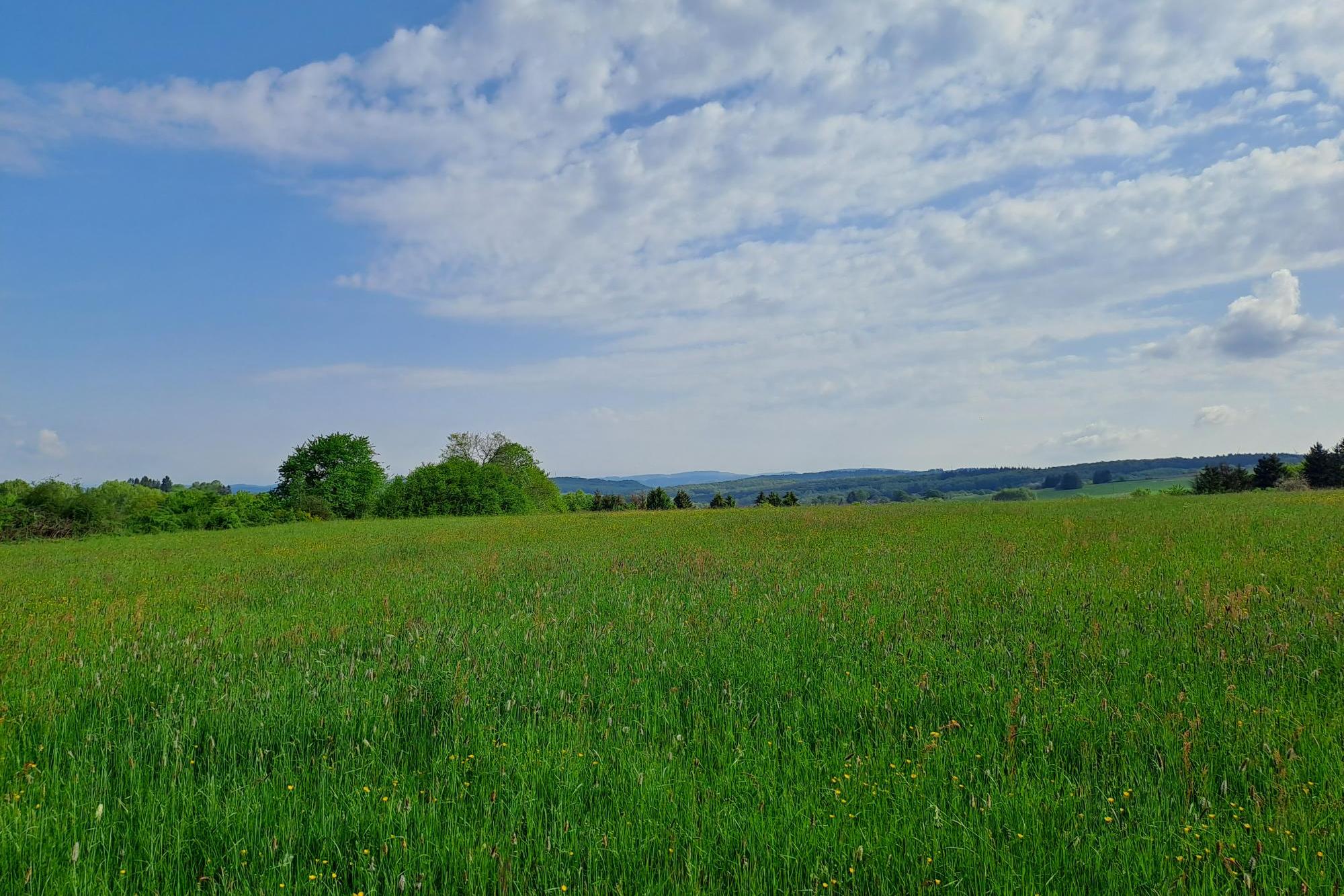 Man sieht einen Himmel mit Schleierwolken und eine grüne Wiese mit Hügeln im Hintergrund