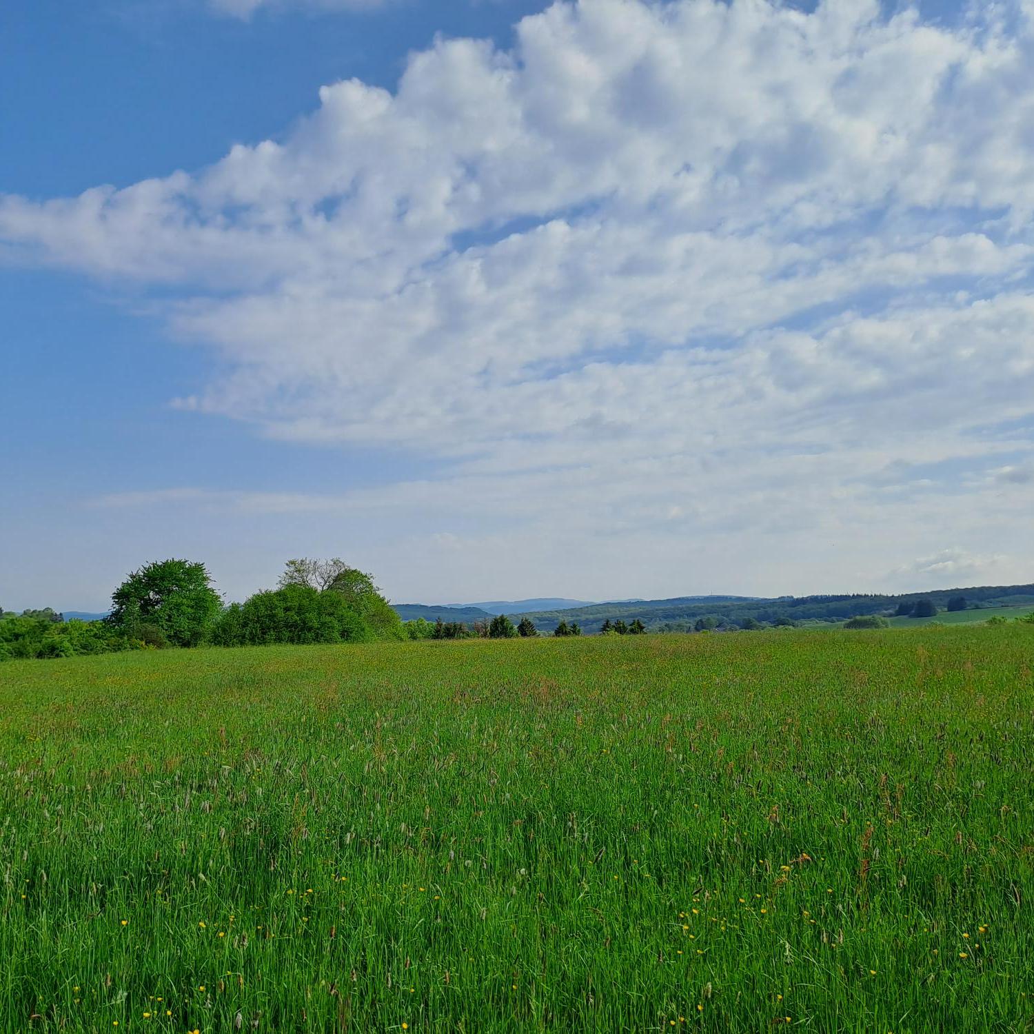 Man sieht einen Himmel mit Schleierwolken und eine grüne Wiese mit Hügeln im Hintergrund