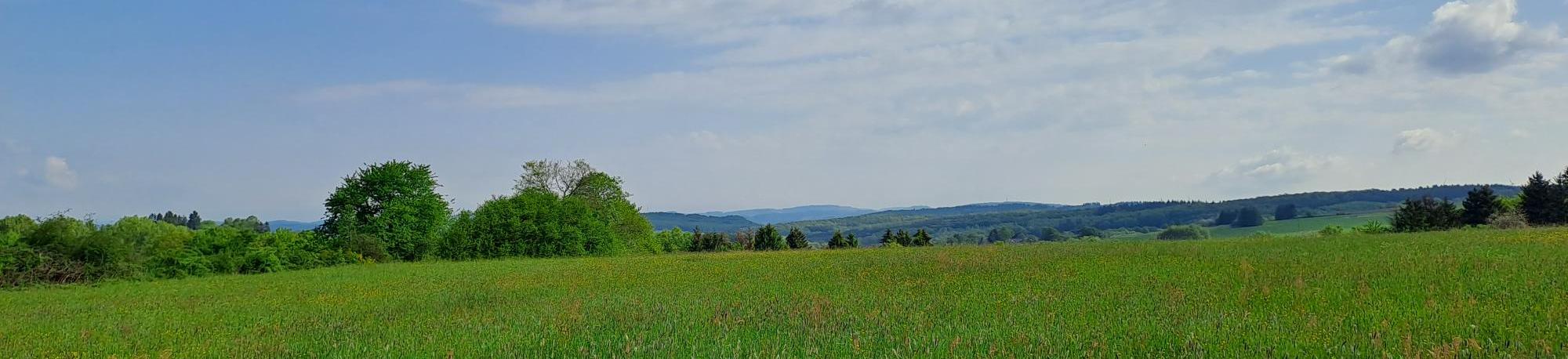 Man sieht einen Himmel mit Schleierwolken und eine grüne Wiese mit Hügeln im Hintergrund