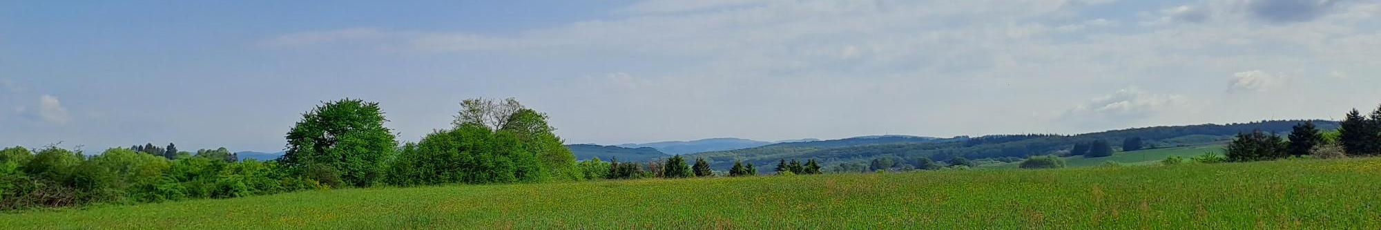 Man sieht einen Himmel mit Schleierwolken und eine grüne Wiese mit Hügeln im Hintergrund