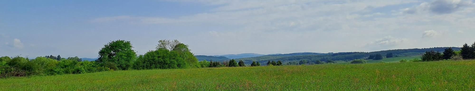 Man sieht einen Himmel mit Schleierwolken und eine grüne Wiese mit Hügeln im Hintergrund