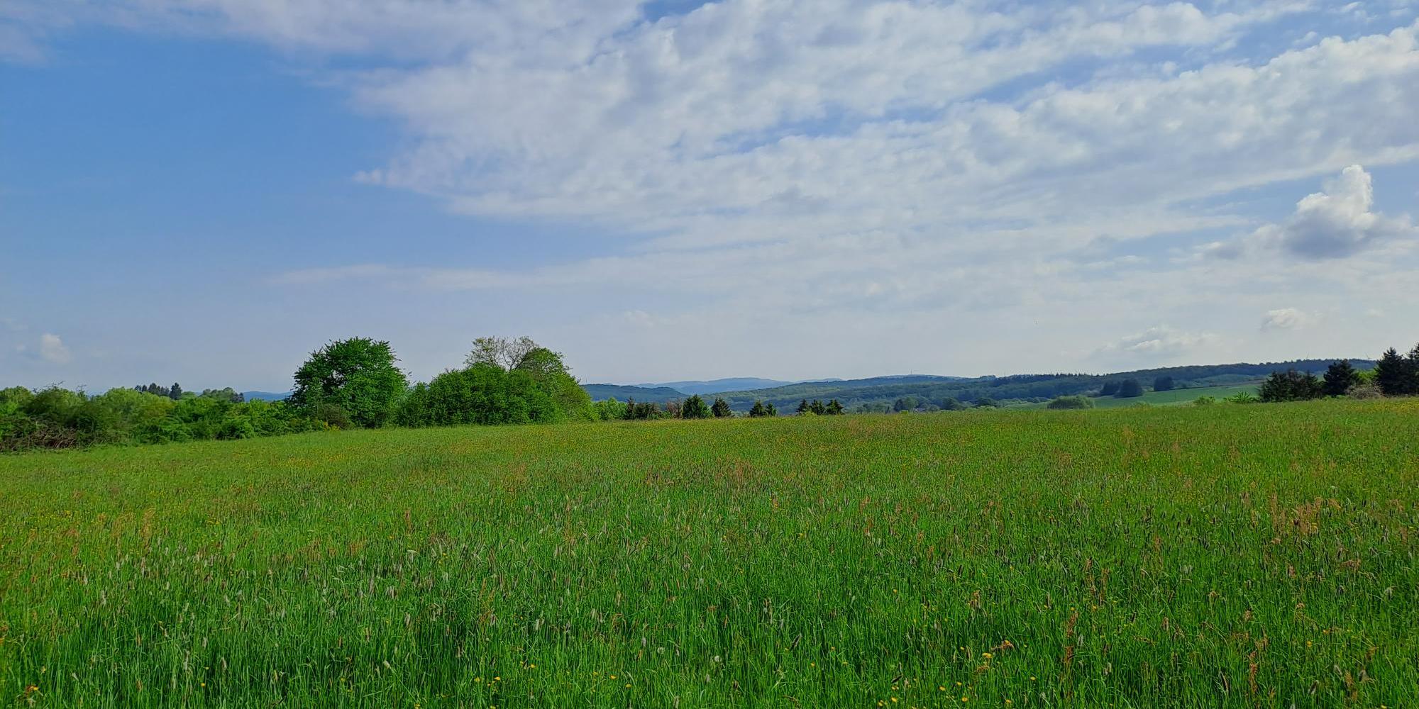 Man sieht einen Himmel mit Schleierwolken und eine grüne Wiese mit Hügeln im Hintergrund