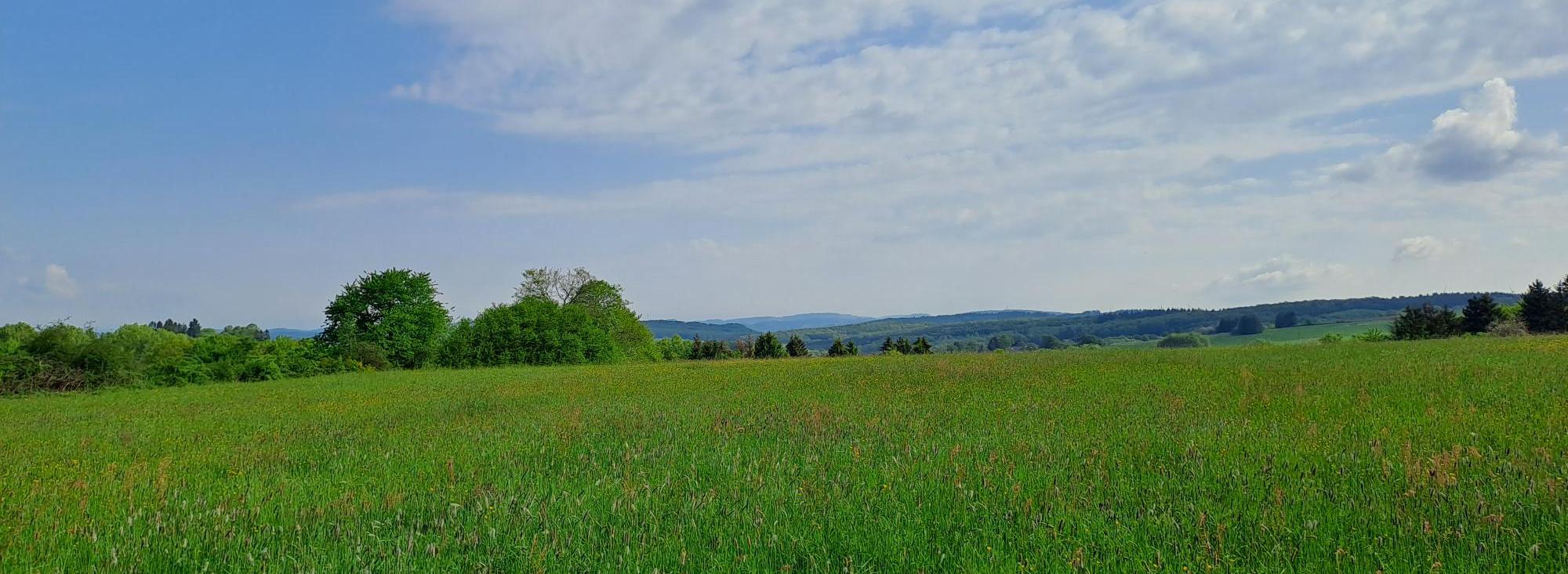 Man sieht einen Himmel mit Schleierwolken und eine grüne Wiese mit Hügeln im Hintergrund